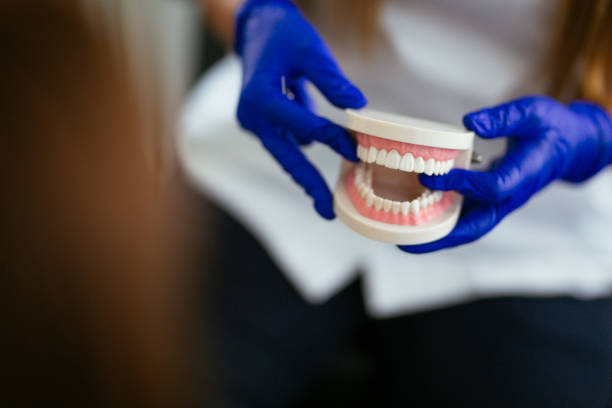 Dental X-Rays and Imaging in Forestville, CA